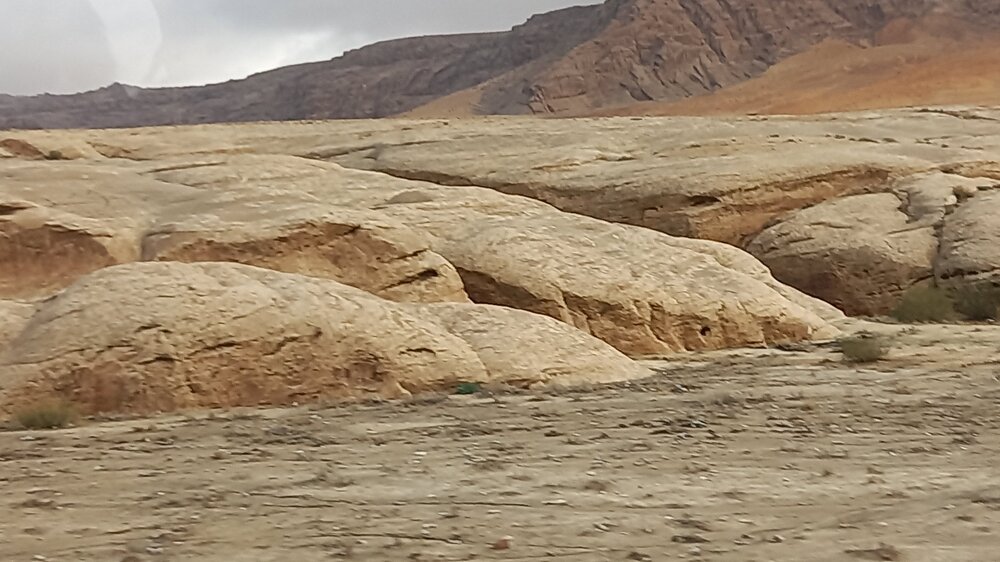 20230109_111751.jpg