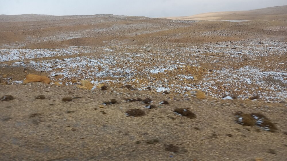 20230109_114944.jpg