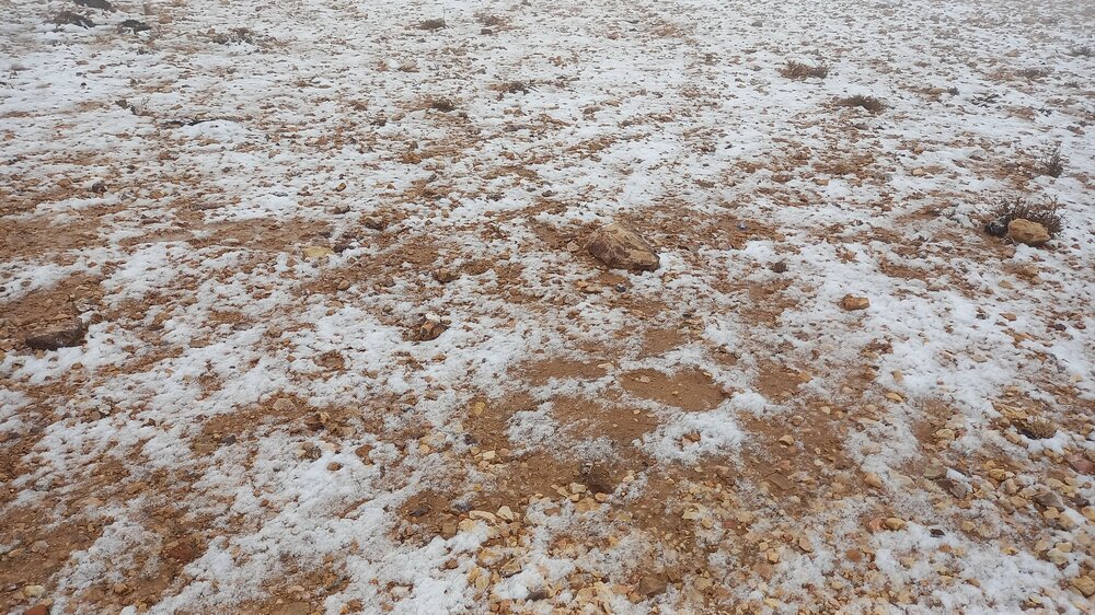 20230109_121126.jpg