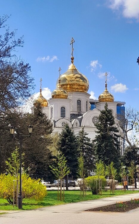 20230409_120116.jpg