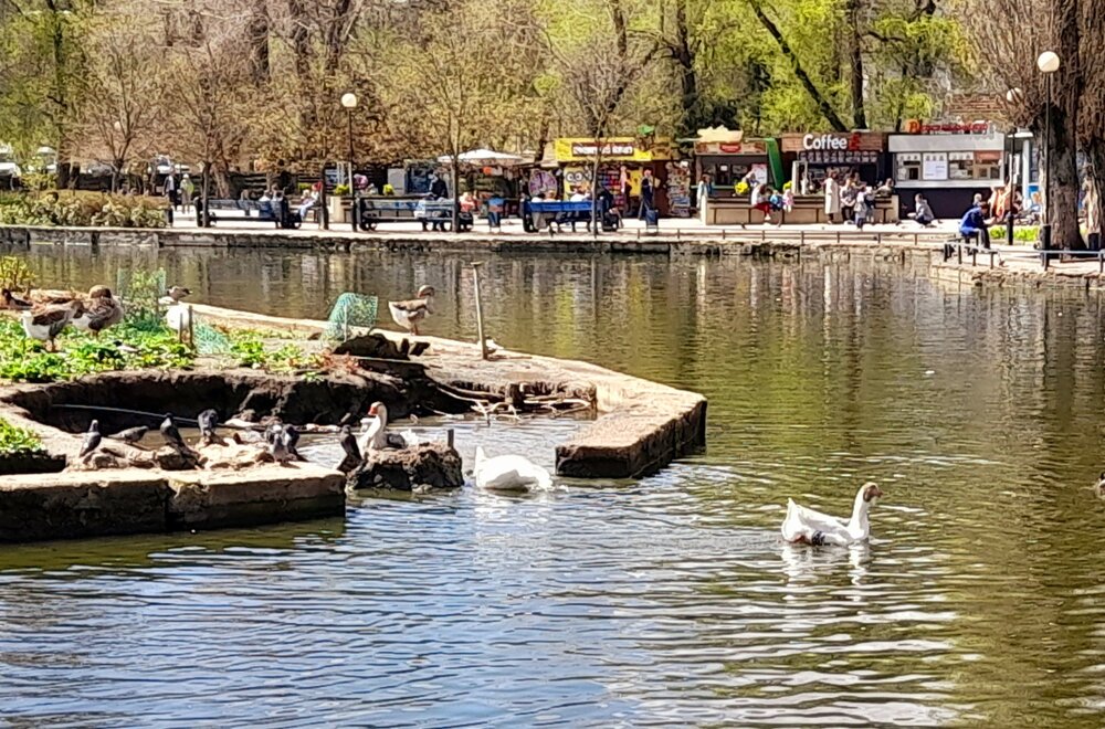 20230409_122417.jpg