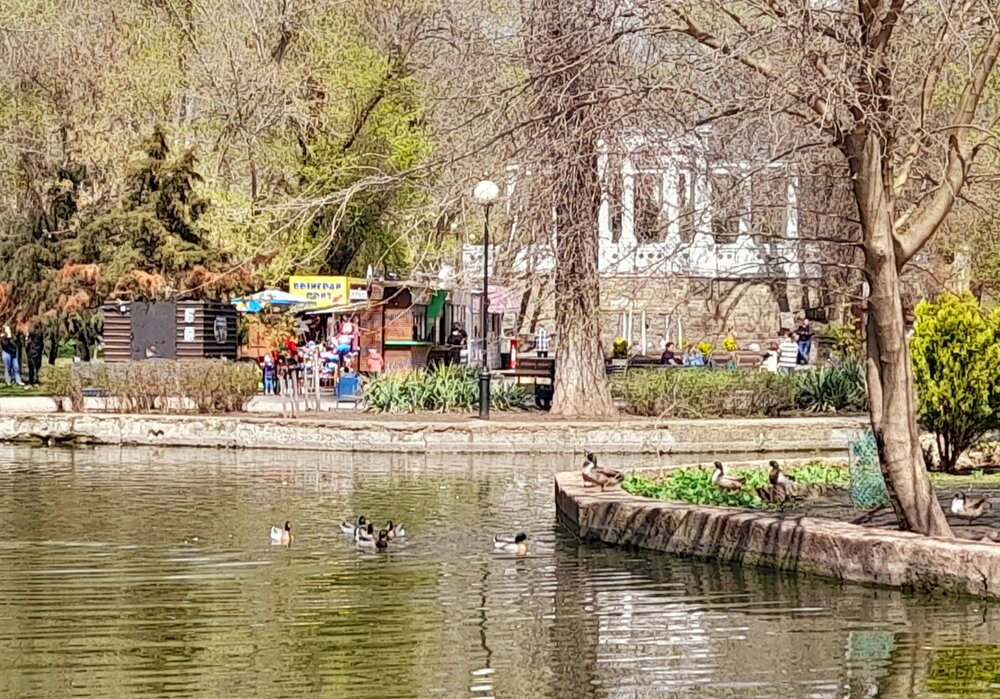 20230409_122848.jpg