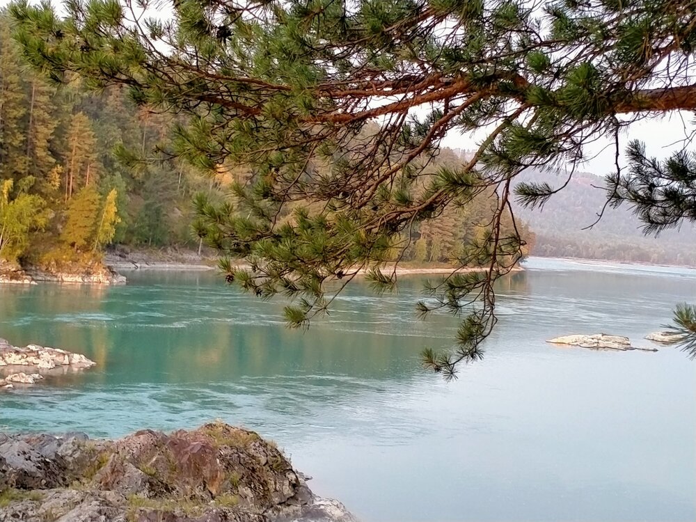 IMG20220905073208.jpg
