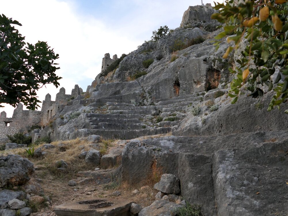 P1104586.jpg