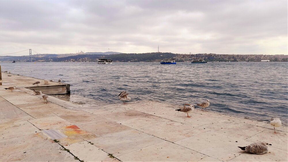 20230507_112701.jpg