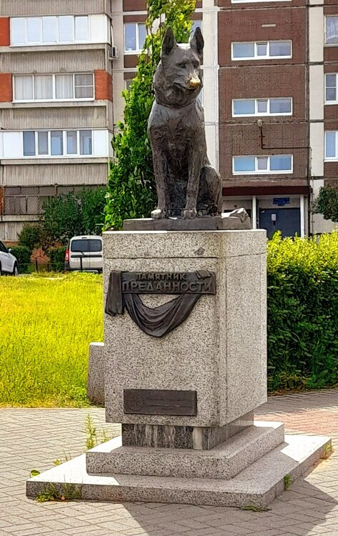 20230611_091618.jpg