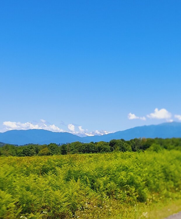 20230702_114748.jpg