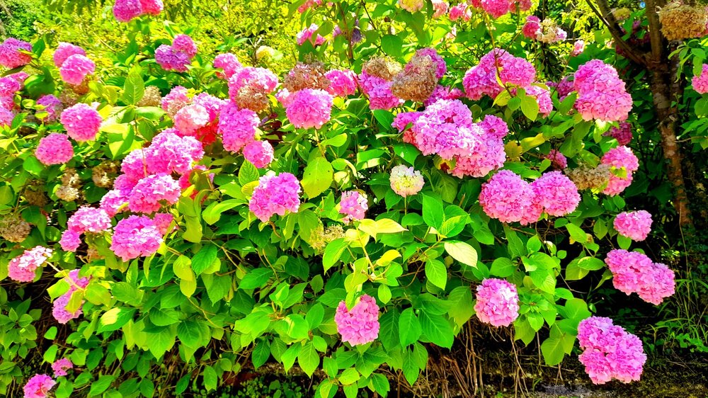 20230702_131209.jpg