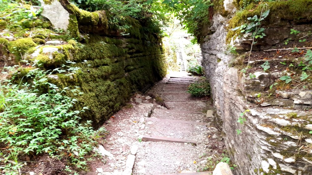 20230707_111738.jpg
