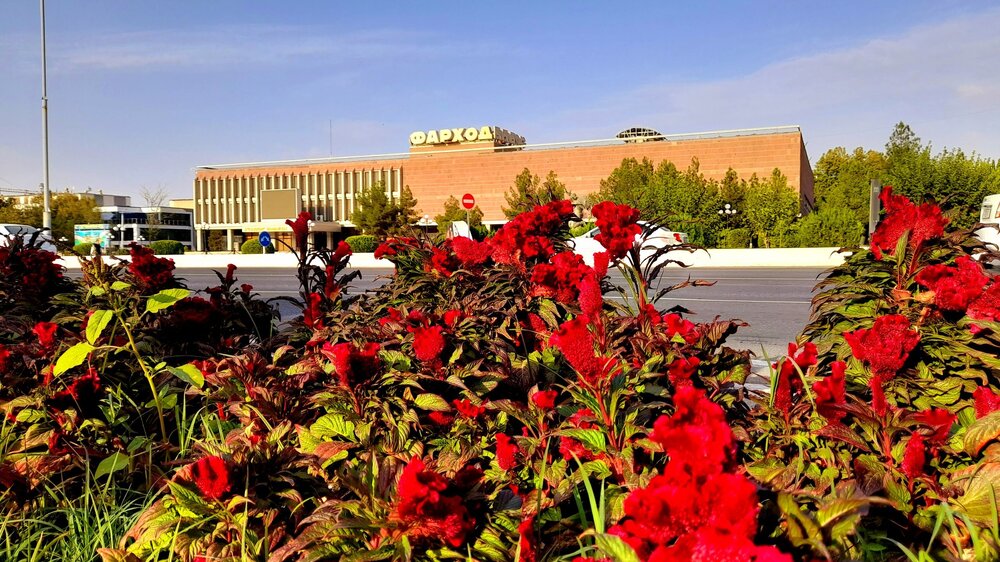 20230909_151847.jpg