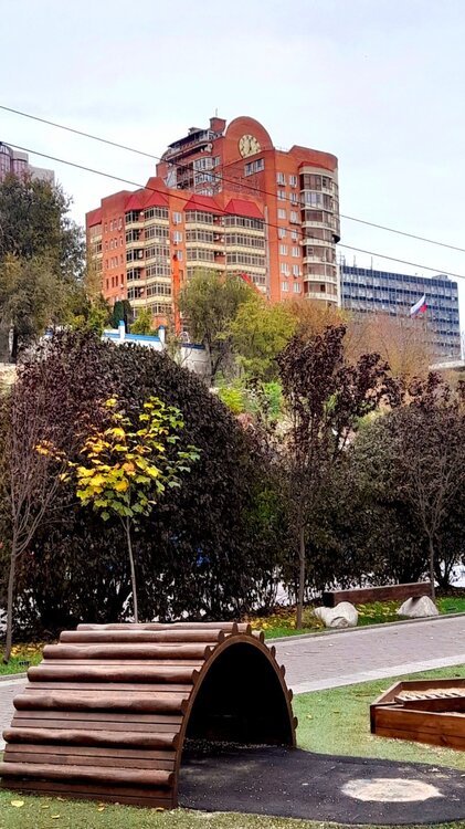 20231104_125003.jpg