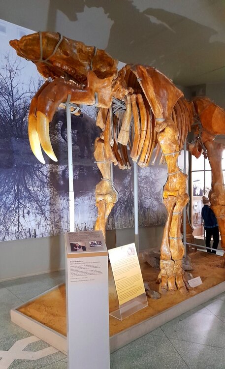 20231104_155308.jpg