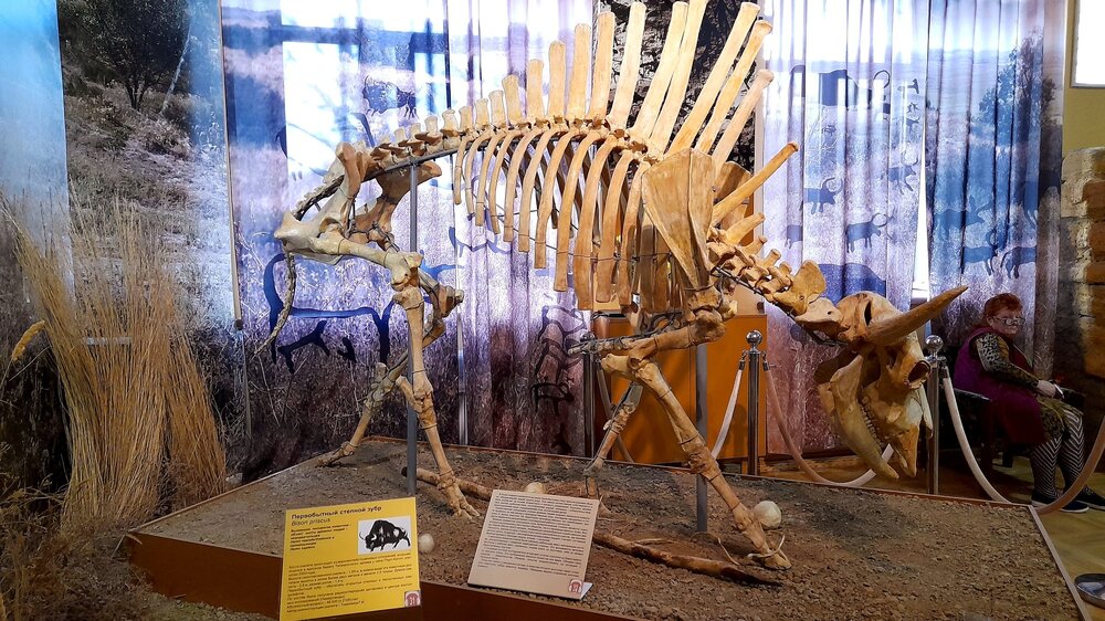 20231104_155917.jpg