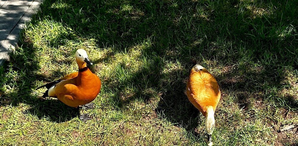 20240503_131830.jpg