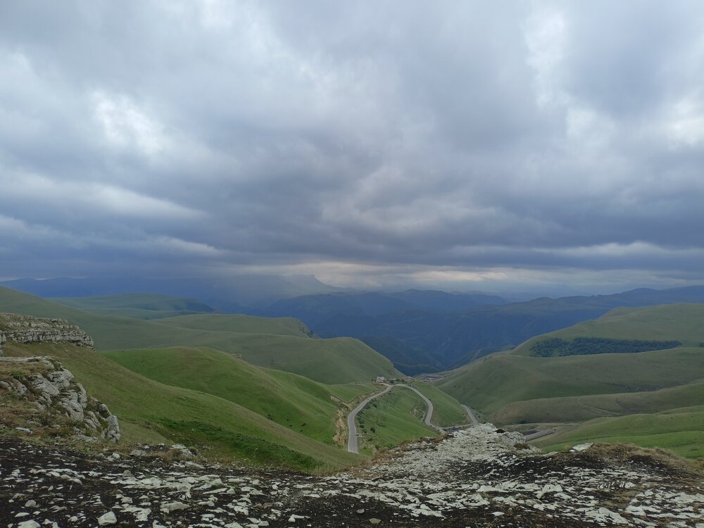 IMG20240724144134.jpg