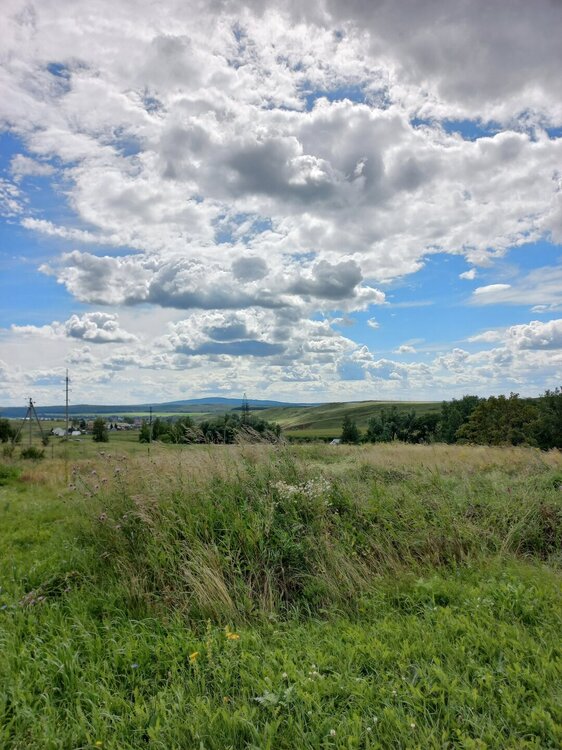 20240727_153521.jpg