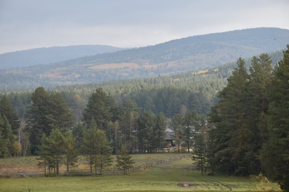 DSC_0733.JPG