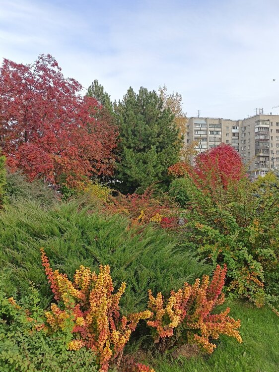 IMG20240922125001.jpg