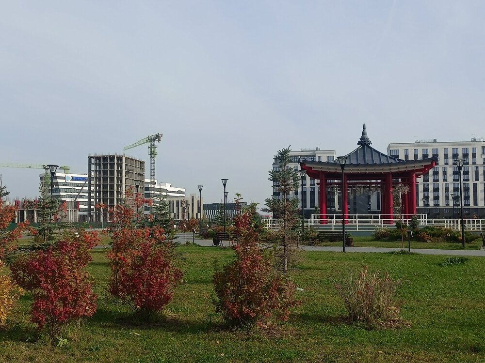 IMG20241008134123.jpg