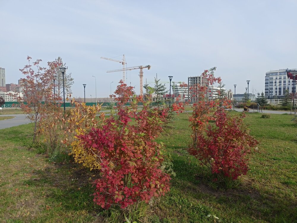 IMG20241008134232.jpg
