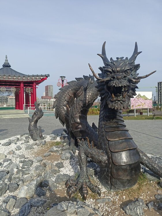 IMG20241008134915.jpg