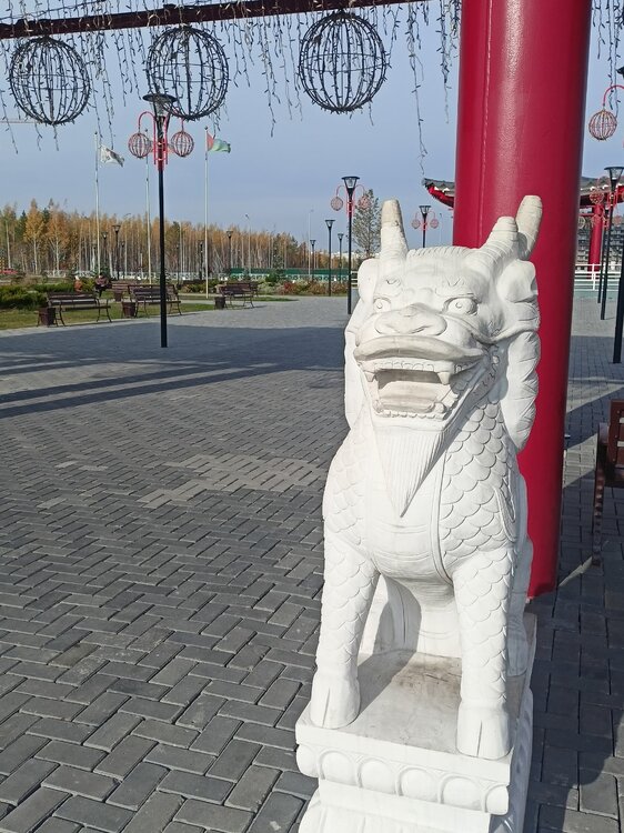 IMG20241008135116.jpg