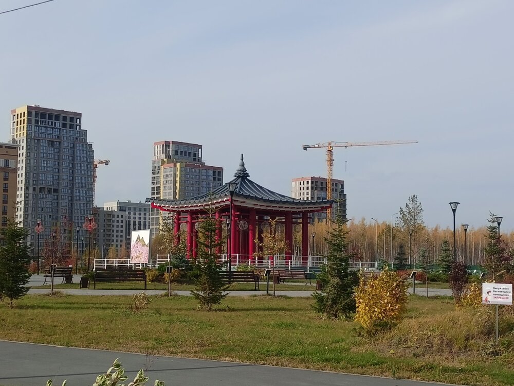 IMG20241008135527.jpg