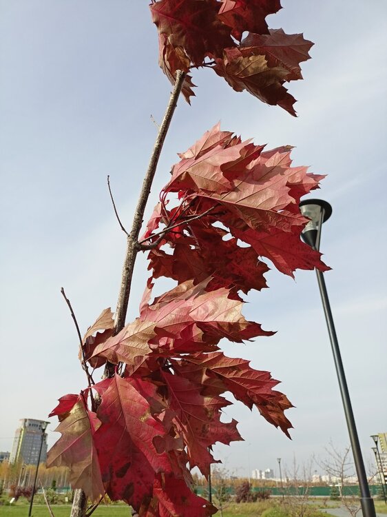 IMG20241008140222.jpg