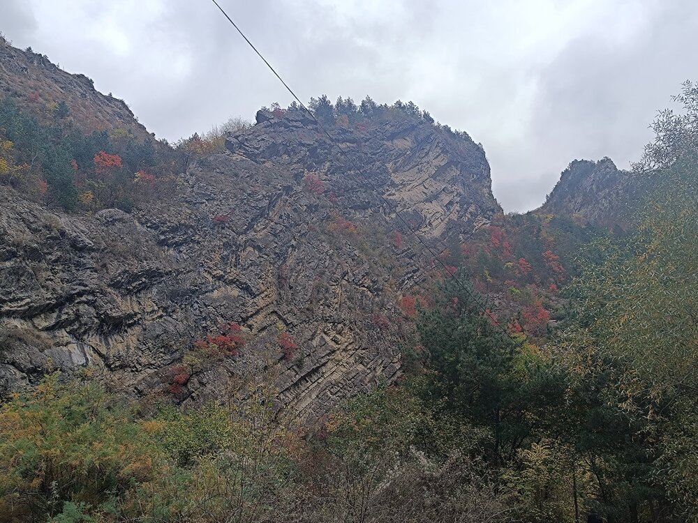 IMG_20241016_145648.jpg
