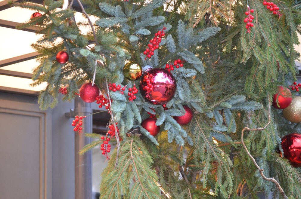 DSC_6986.JPG