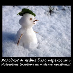 10845-d5356e4fdd2817cb7fa1dd350d0d7c18.jpg