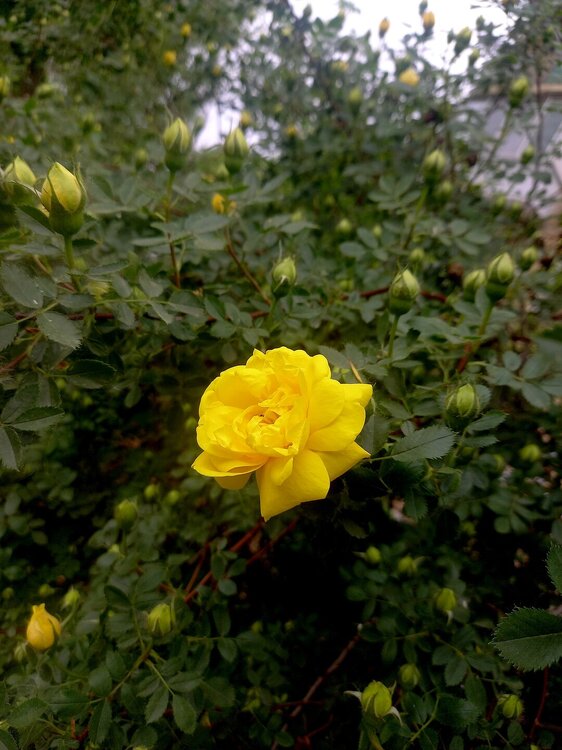 20250519_165815.jpg