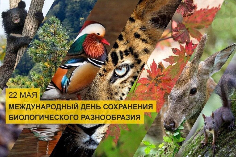 37c50cubcuuv70h8r1p5lgxslw6gc1rc.jpg