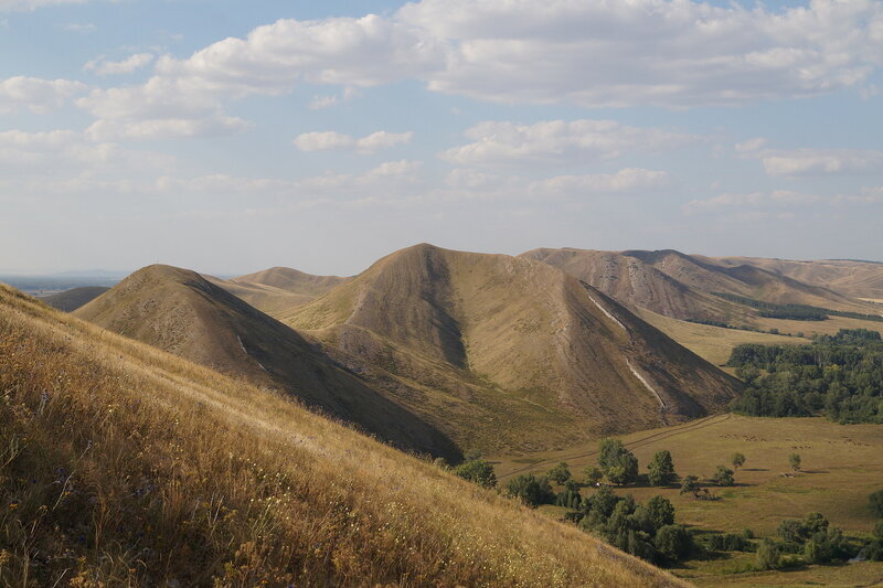 DSC02227.jpg