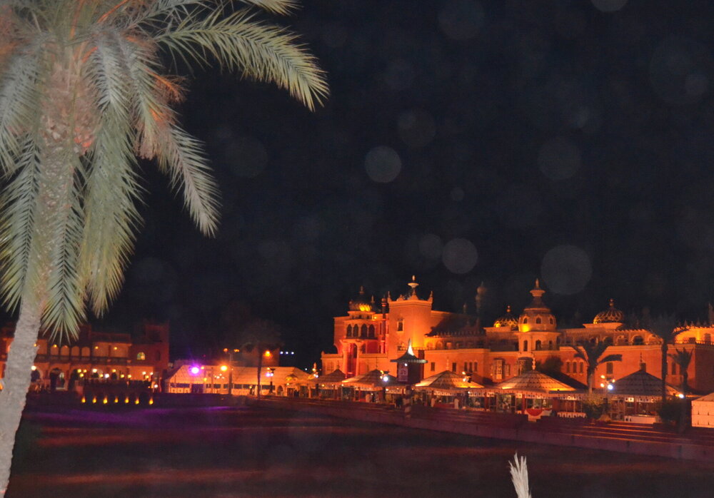 DSC_0766.JPG