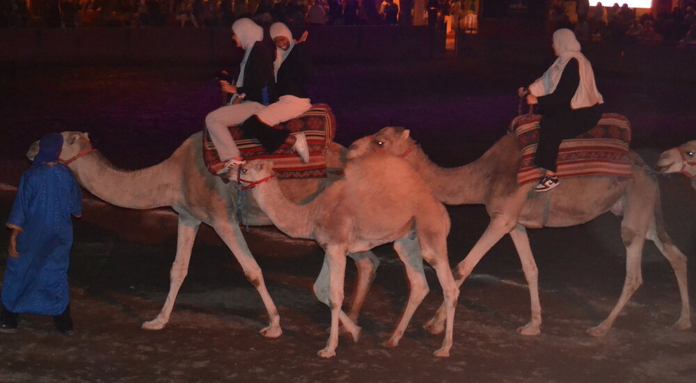 DSC_0797.JPG