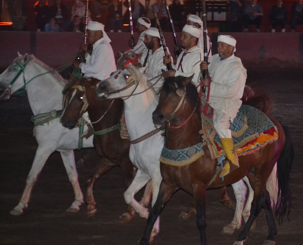 DSC_0815.JPG
