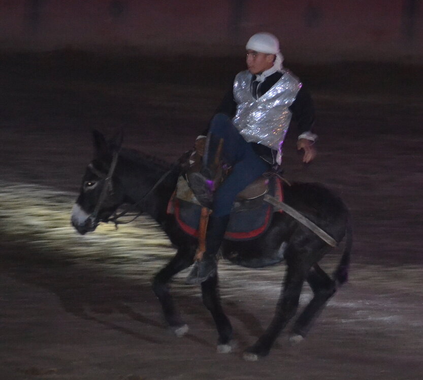 DSC_0838.JPG