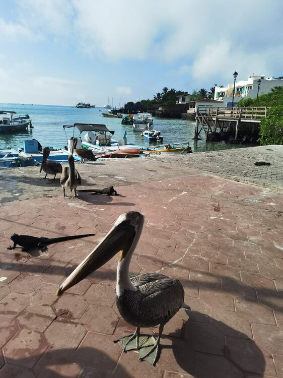 IMG-20250507-WA0001.jpg