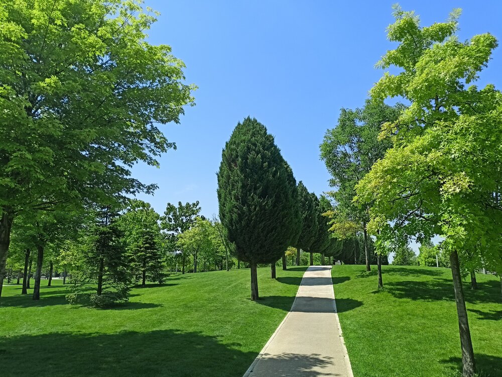 IMG20230721131440.jpg