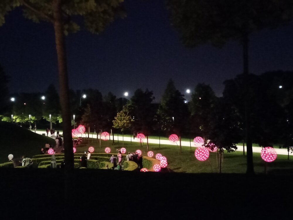 IMG20230721210500.jpg
