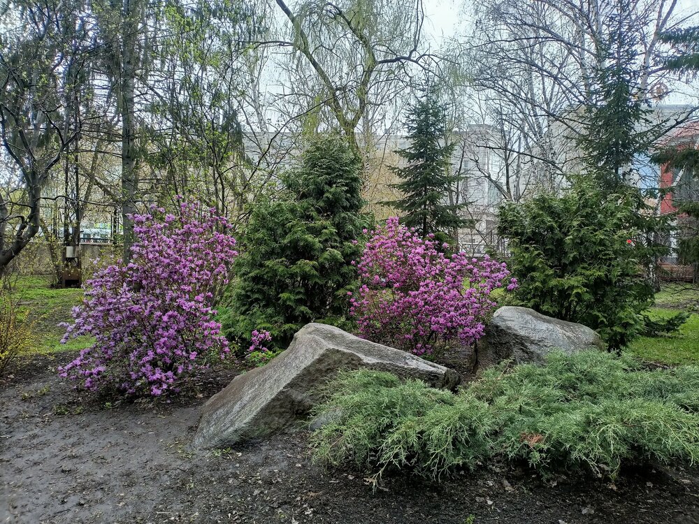 IMG20250501164819.jpg