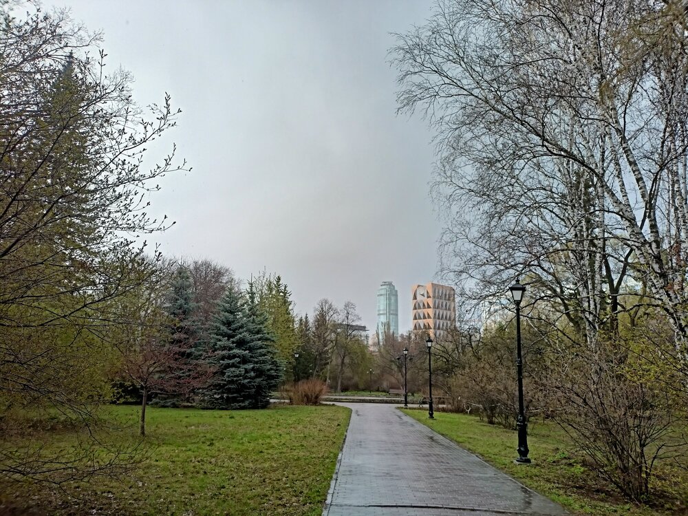 IMG20250501164846.jpg