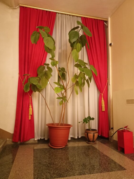 IMG20250501211901.jpg