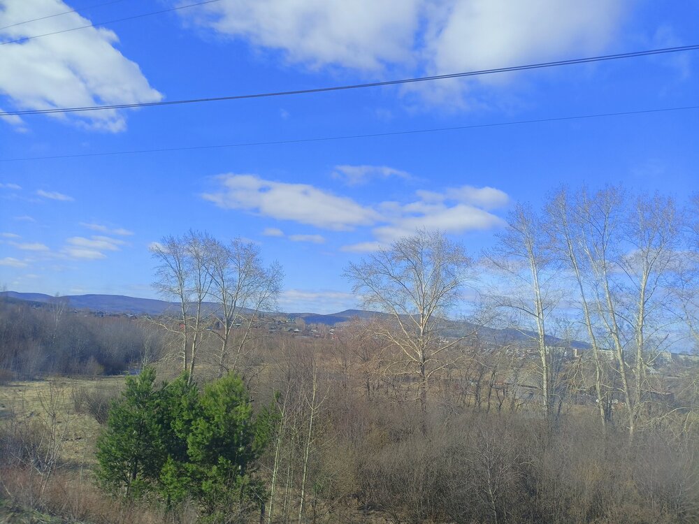 IMG20250502094250.jpg