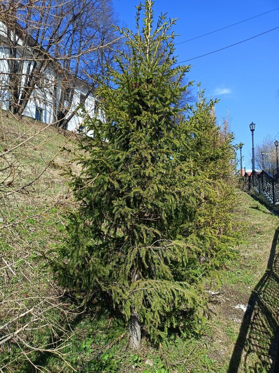 IMG20250502154647.jpg