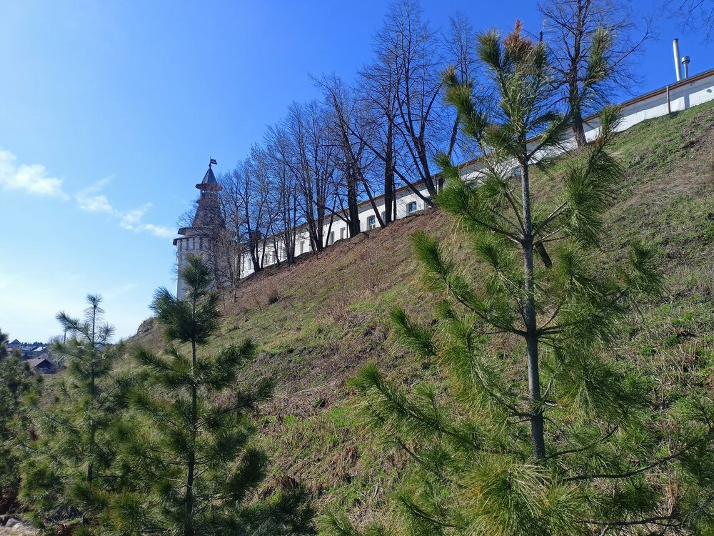 IMG20250502154705.jpg