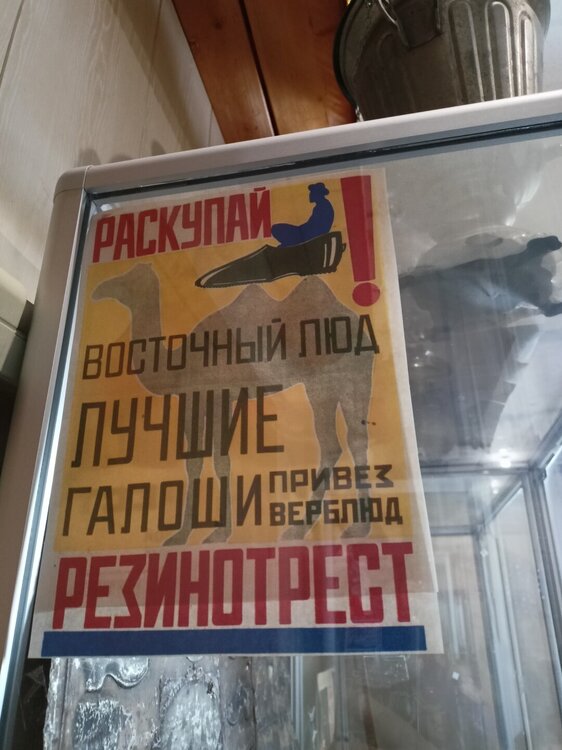 IMG20250503121307.jpg