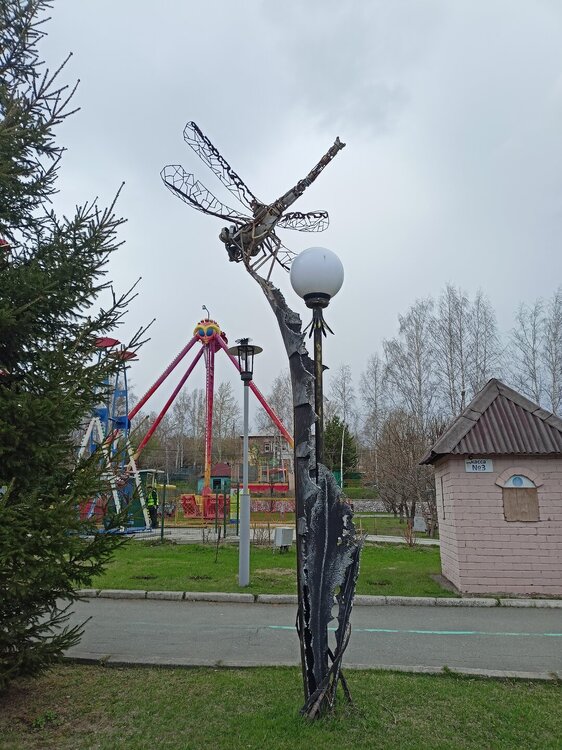 IMG20250504161925.jpg