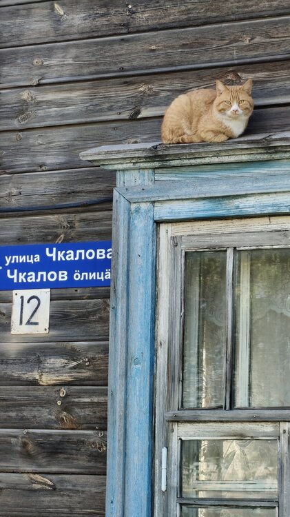 IMG20250506170236.jpg